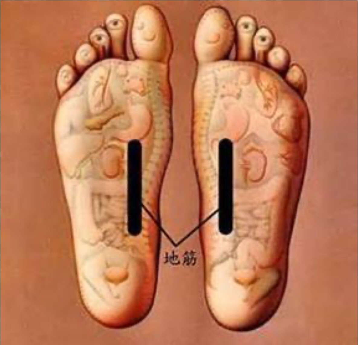 Junho acupunctuur (Di Jin 地筋)  2